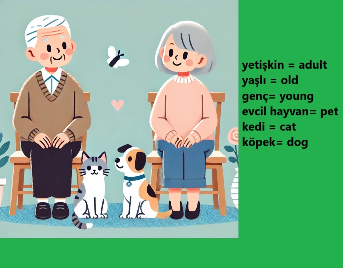 yetişkin = adult yaşlı = old genç= young evcil hayvan = pet kedi = cat köpek= dog